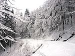 Winter im Feldberg-Belchen Gebiet